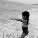 박신우 카카오 검색결과