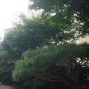 (주)서림개발 이미지