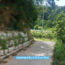 백옥동농장 네이버블로그