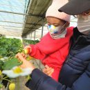 월롱농장 이미지