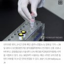 오미크론 증세 가벼운 이유는.."다른 변이보다 폐 손상 적어" 이미지