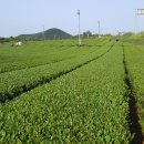 다정한 행정사사무소 이미지