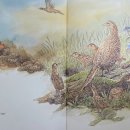 그림책으로 만나는 제주 이미지