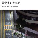 퓰리처상급 동덕여대 옆 아파트 뷰 이미지