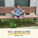 율하상상정원어린이집 | 어린이집 방학대비 북캉스로 토끼책방 10마리 토끼 친구들 4세아이 그림책