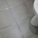 바이오크린 이미지