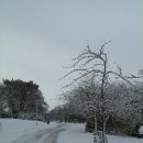 SNOW 이미지