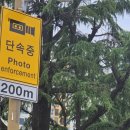 대남한의원 | 전주 대남한의원 팔꿈치 엘보, 손목, 무릎 통증 침 맞아본 후기
