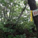 광덕봉수대 Daum카페