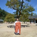 용궁 Daum카페