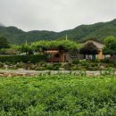 봉화황토민박 이미지