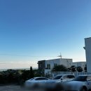 제주다와 | 제주 제주다와 풀빌라/ 위치, 주차, 숙박 후기 / 제주도 애견동반 숙소 추천, 제주도 풀빌라 후기