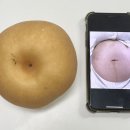 네일쏘롱이 | 임신기록 6-7개월:20-27주차 / 🇻🇳나트랑 태교여행 임산부교실
