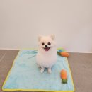 백설미용실 티스토리