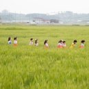 미성동-14 이미지