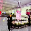 (주)베리힐 | [중국 영하 여행] 영리빙 닝샤트립 다녀오다 1탄-모엣샹동와이너리/힐바이영 수원아로마공방