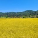 안평농장 이미지