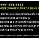 비비드애비뉴