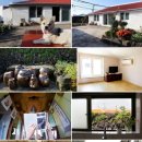 김녕안트레 이미지