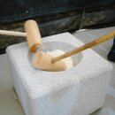 황금원숭이마을 이미지