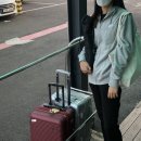 제주싱싱몰