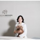 24시OK동물병원 이미지