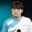 베릴 이미지