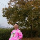 정영기 카카오 검색결과