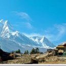 더메디칼 이미지