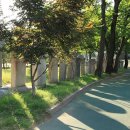 명륜여자중학교 | 4대강에도 공덕비를 세울 걸 그랬나?