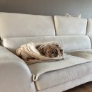 은성세탁 | 꽤나 지금의 계절과 가까운 작년의 나