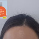 대신모토피아 이미지