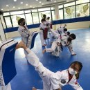 경희대금호태권도장 이미지