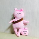 토토스토어 이미지