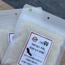 제성기아 | 한화승요 공주 덕분에 홈런 몇개를 보니