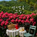그집 | [마산] 장미가 이쁜 앵지밭골 그집 카페 후기
