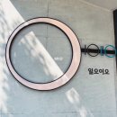 카페 일오이오 | 대전 관저동 대형 베이커리 카페 “카페 일오이오” 방문후기(내돈내먹)
