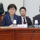 박사장가계