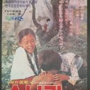 지혜의 소나기 이미지