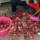 정임농장 이미지