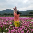 홍길동 농장 | 장성 홍길동흑염소 흑염소수육 내돈내산 후기