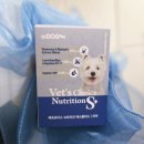 케이에스푸드(K.S푸드) | 푸들 강아지 피부 영양제 베츠초이스 S+ 급여 솔직후기