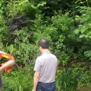 광수농장 이미지