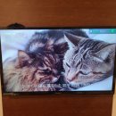 북부-3(영남대 건너 버스정류장 옆 1) | [일본] 7박 8일 겨울 나고야 #6일차_시라카와고 쓰리하우스(Three houses), 묘젠지(明善寺), 와다케...