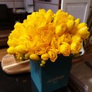 서리풀동의보감한의원 이미지