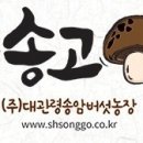 주식회사 송암 이미지