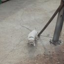 영빈파크 이미지