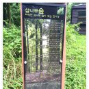 카페 사려니숲