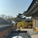 경주의시간 목화 이미지