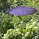 고래의 꿈 민박 이미지